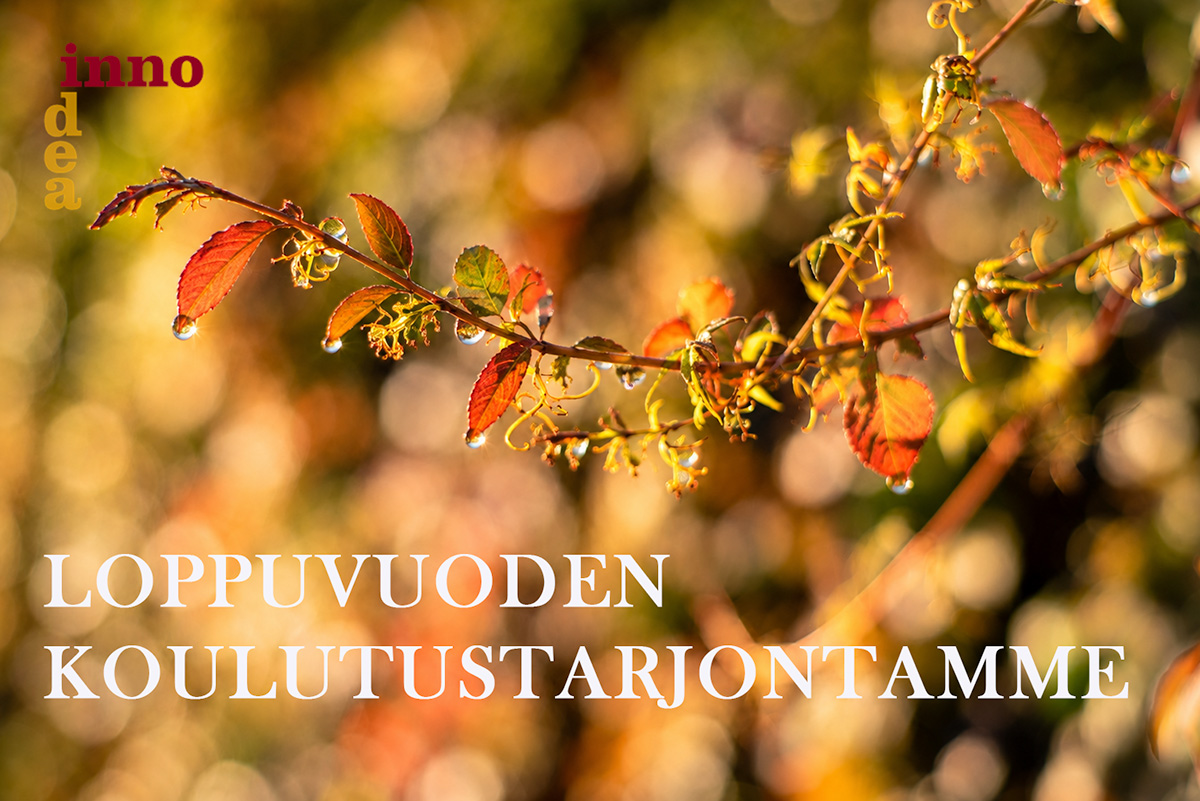 Hankintakoulutus Hankintaosaaminen Hankintojen johtaminen ja kehittäminen